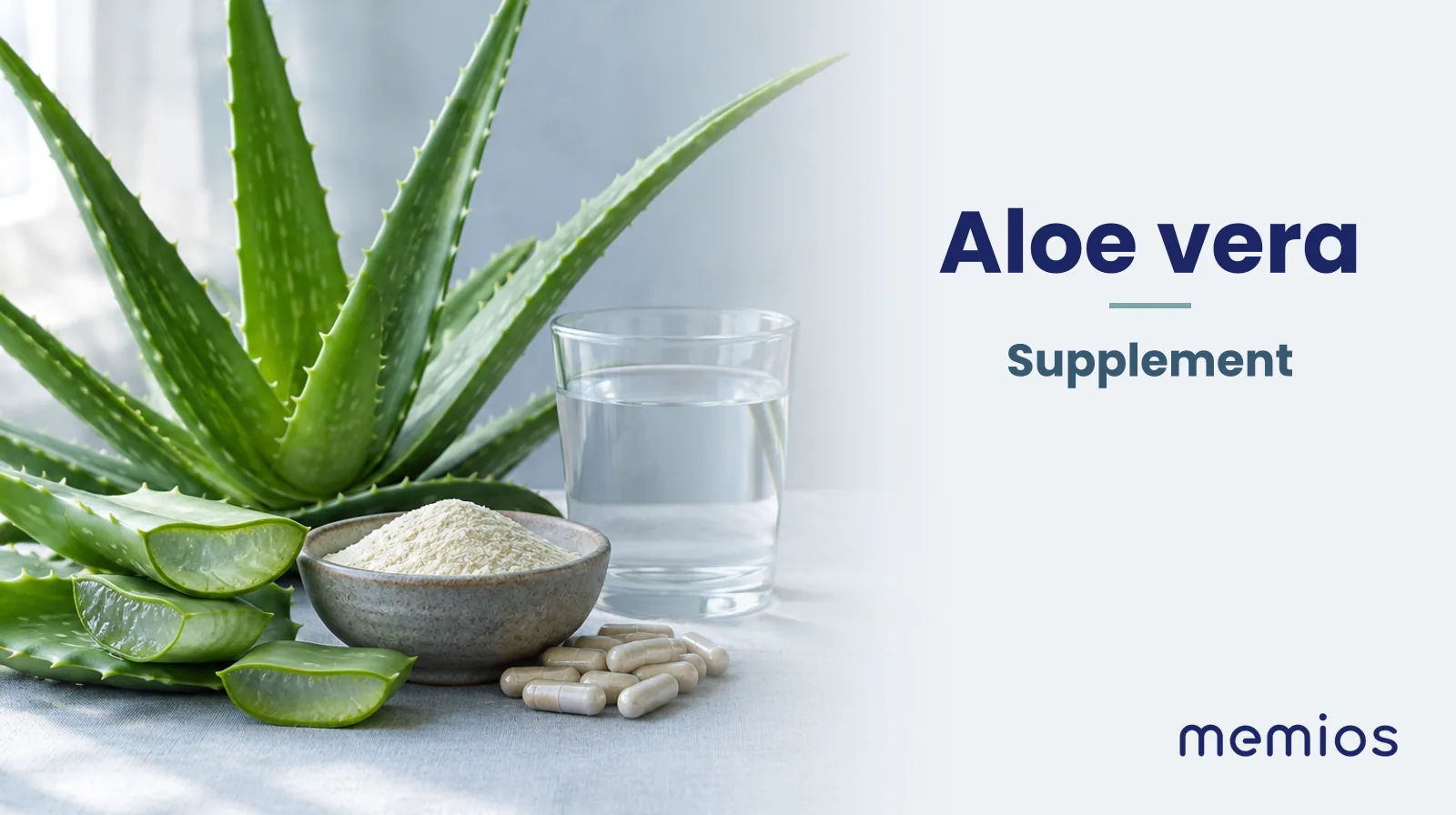 Photograph for Aloe vera: its natural source and a bowl of powder or capsules on pale linen.