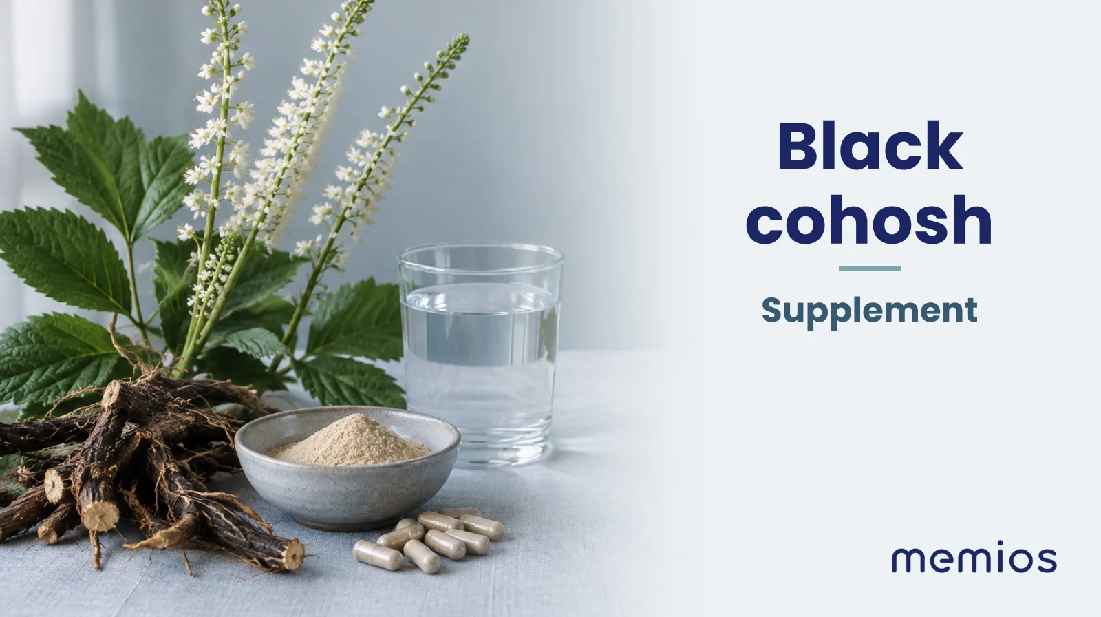 Photograph for Black cohosh: its natural source and a bowl of powder or capsules on pale linen.
