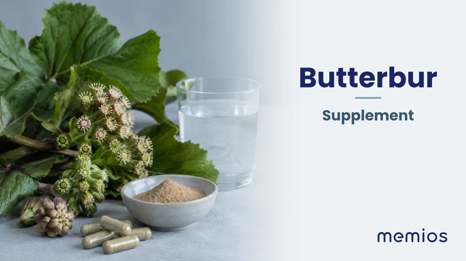 Photograph for Butterbur: its natural source and a bowl of powder or capsules on pale linen.
