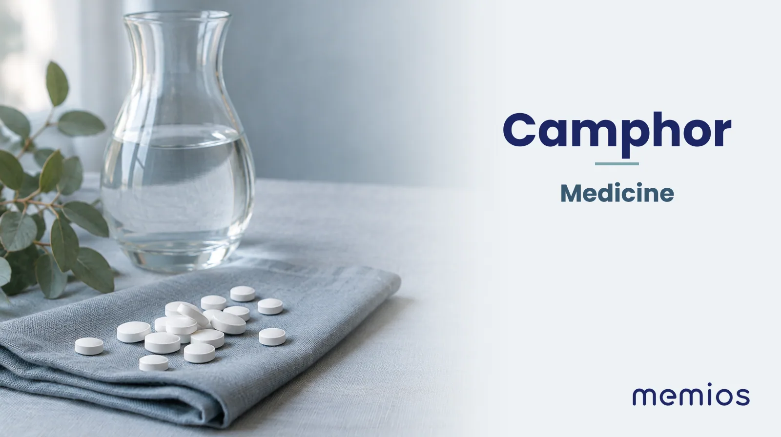 Photograph for Camphor: plain unmarked tablets in a dish beside a glass of water on pale linen.