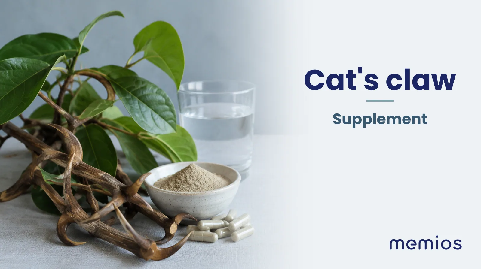 Photograph for Cat's claw: its natural source and a bowl of powder or capsules on pale linen.