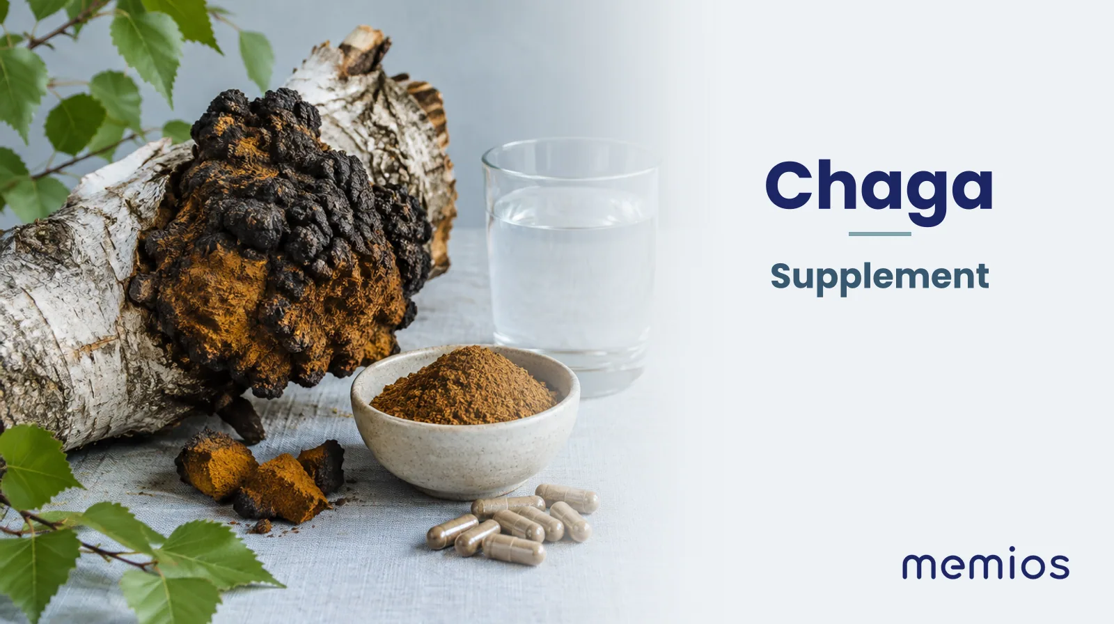 Photograph for Chaga: its natural source and a bowl of powder or capsules on pale linen.