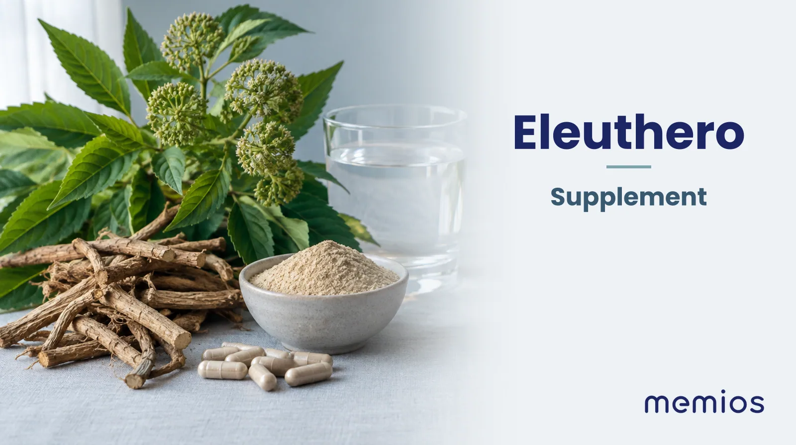Photograph for Eleuthero: its natural source and a bowl of powder or capsules on pale linen.