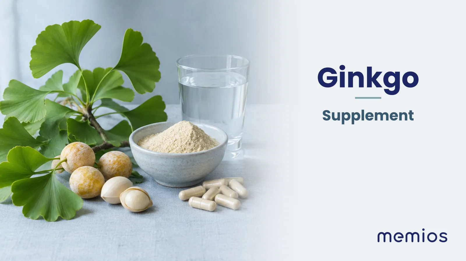 Photograph for Ginkgo: its natural source and a bowl of powder or capsules on pale linen.