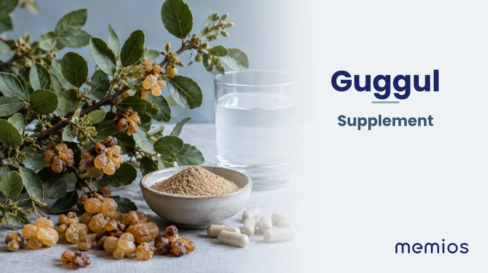 Photograph for Guggul: its natural source and a bowl of powder or capsules on pale linen.