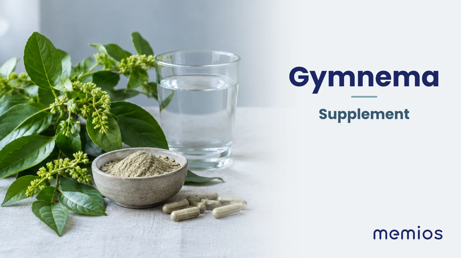 Photograph for Gymnema: its natural source and a bowl of powder or capsules on pale linen.