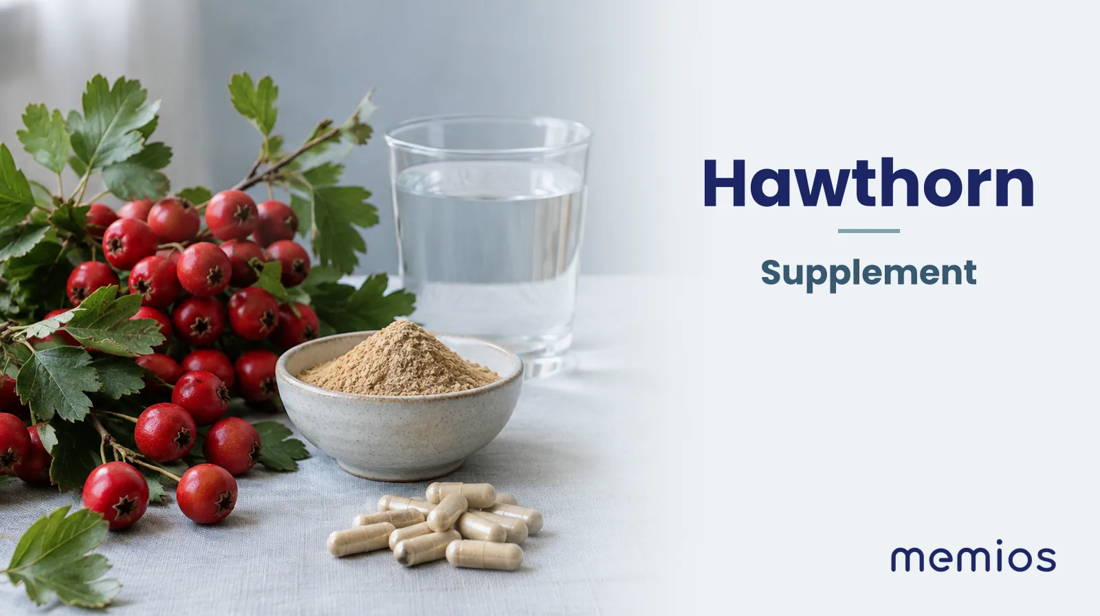 Photograph for Hawthorn: its natural source and a bowl of powder or capsules on pale linen.