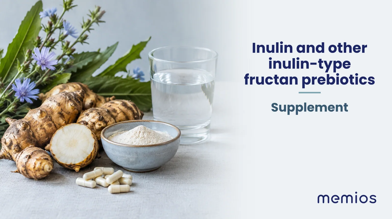 Photograph for Inulin and other inulin-type fructan prebiotics: its natural source and a bowl of powder or capsules on pale linen.