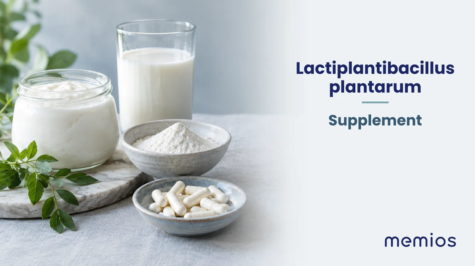 Photograph for Lactiplantibacillus plantarum: its natural source and a bowl of powder or capsules on pale linen.