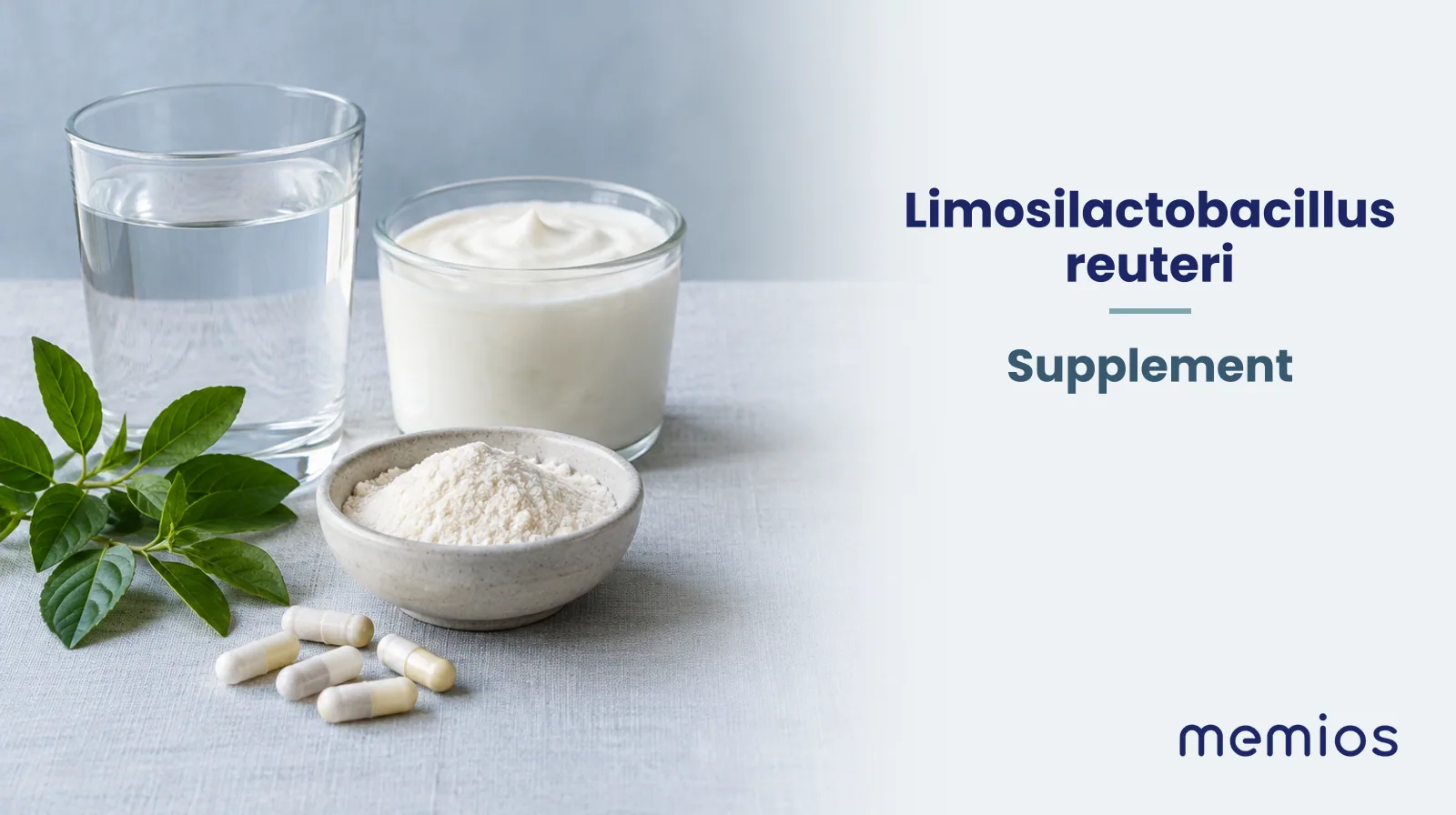 Photograph for Limosilactobacillus reuteri: its natural source and a bowl of powder or capsules on pale linen.