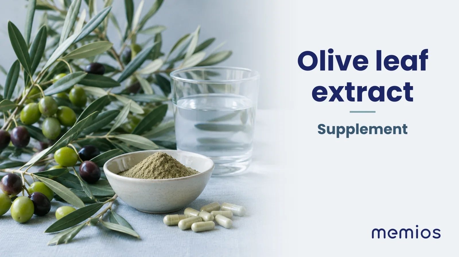 Photograph for Olive leaf extract: its natural source and a bowl of powder or capsules on pale linen.
