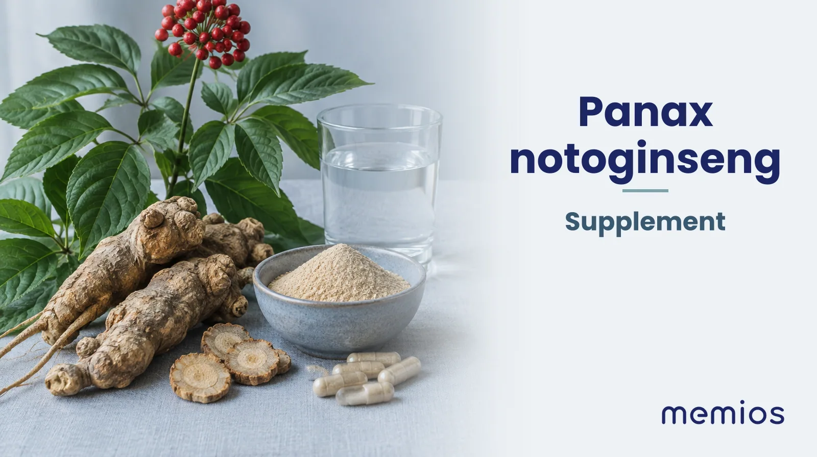 Photograph for Panax notoginseng: its natural source and a bowl of powder or capsules on pale linen.