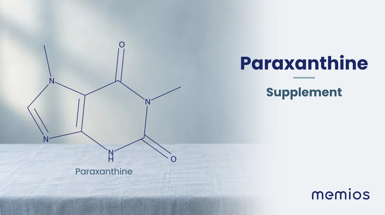 Chemical structure of Paraxanthine, drawn in navy on pale linen.