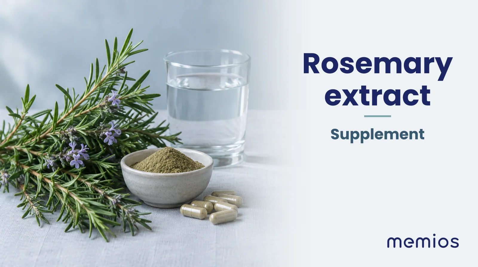 Photograph for Rosemary extract: its natural source and a bowl of powder or capsules on pale linen.