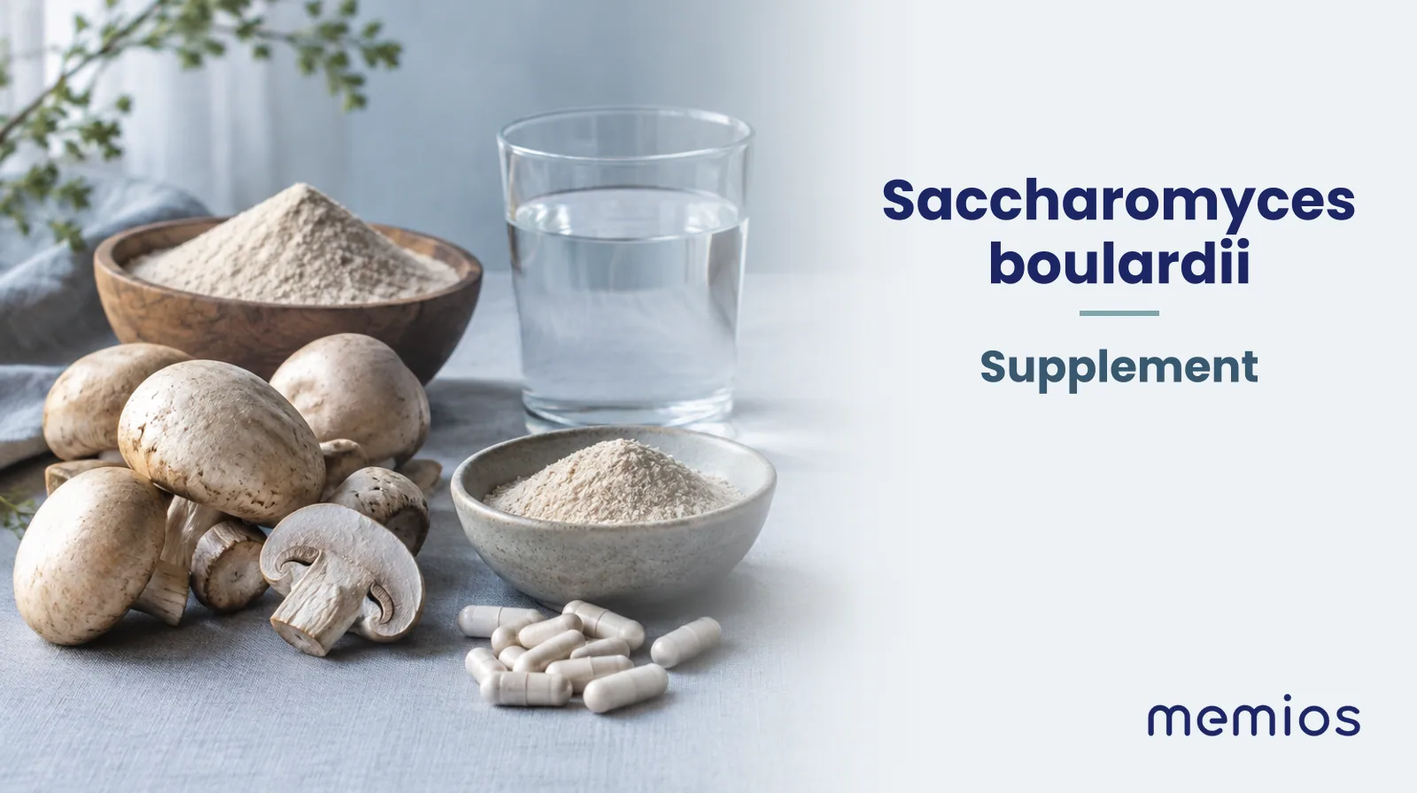 Photograph for Saccharomyces boulardii: its natural source and a bowl of powder or capsules on pale linen.