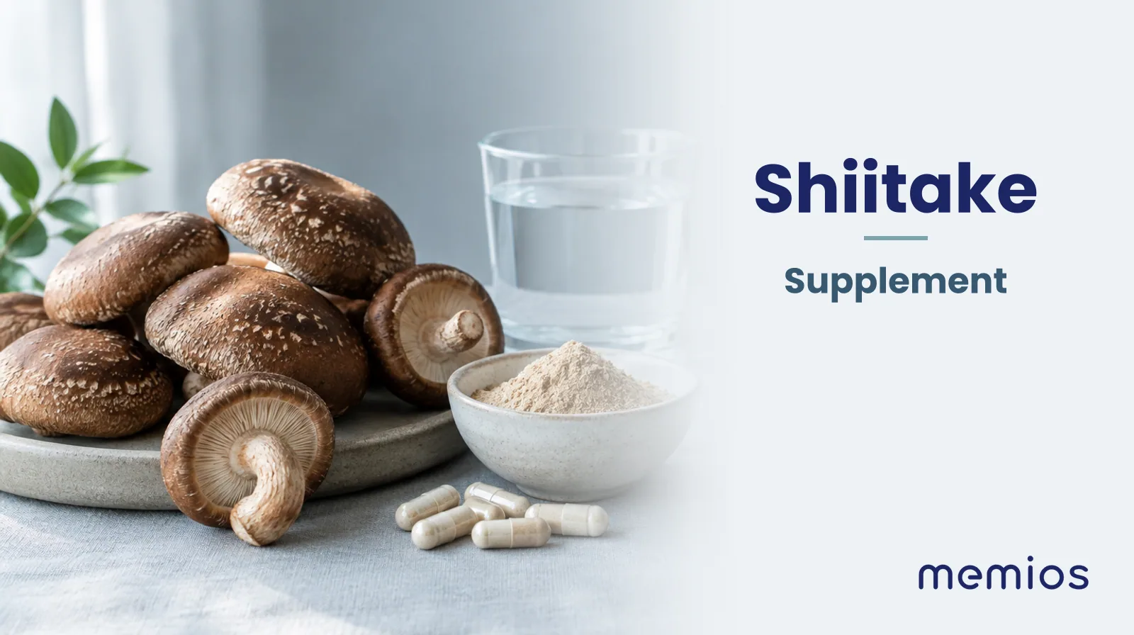 Photograph for Shiitake: its natural source and a bowl of powder or capsules on pale linen.