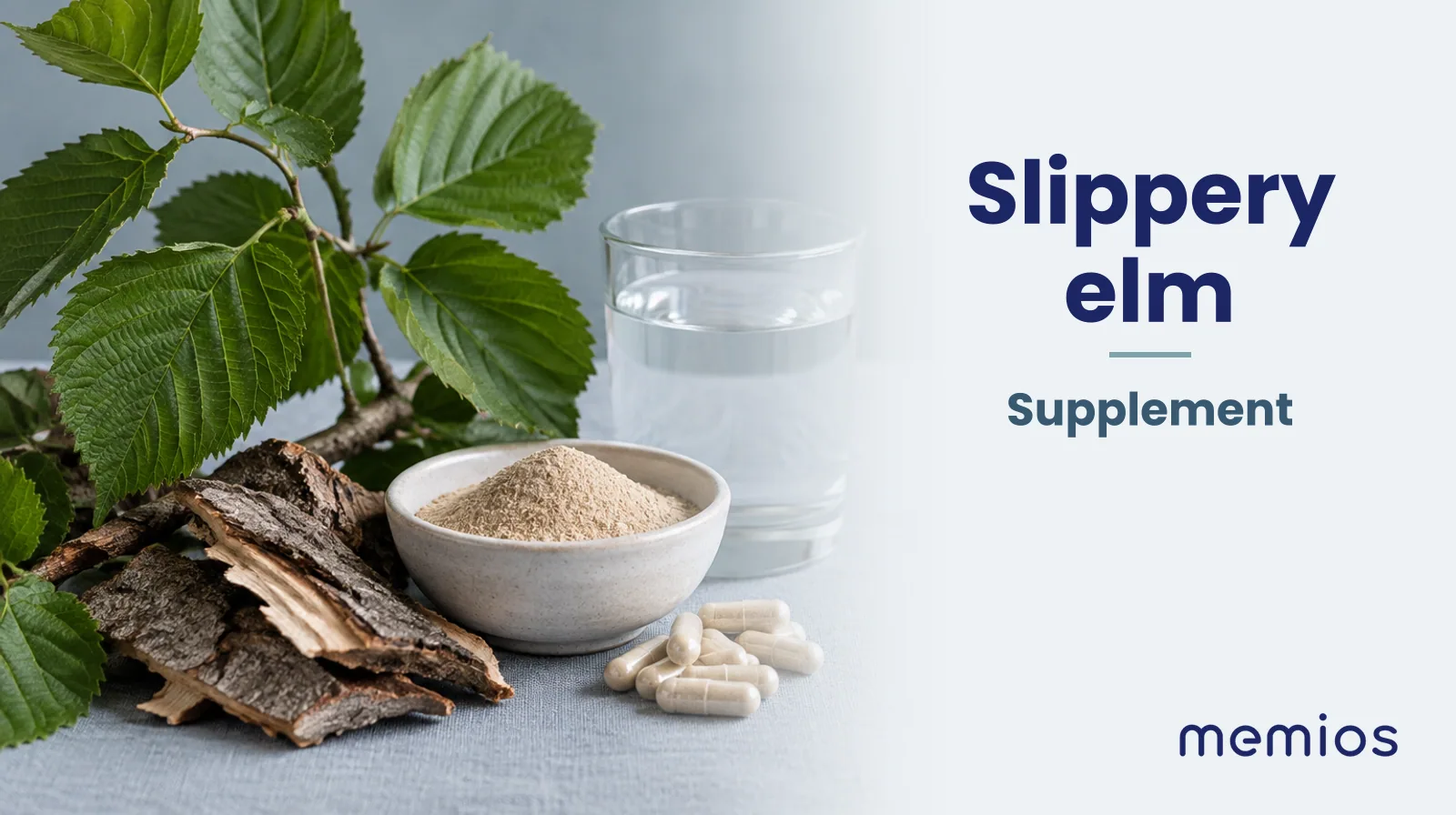Photograph for Slippery elm: its natural source and a bowl of powder or capsules on pale linen.