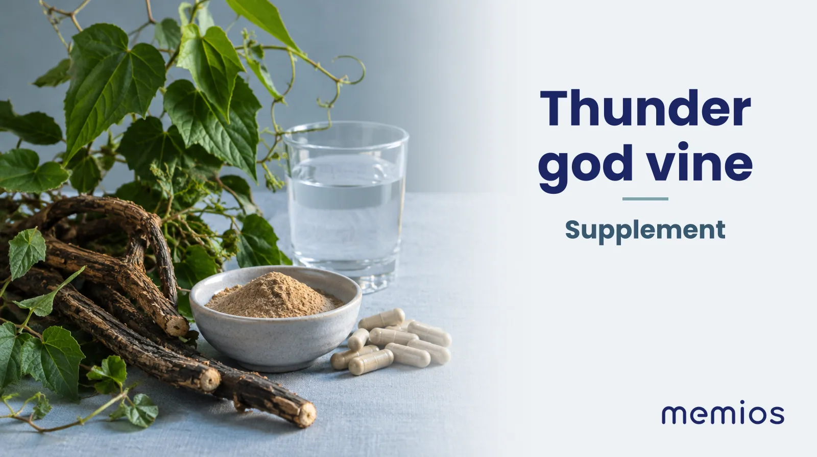 Photograph for Thunder god vine: its natural source and a bowl of powder or capsules on pale linen.