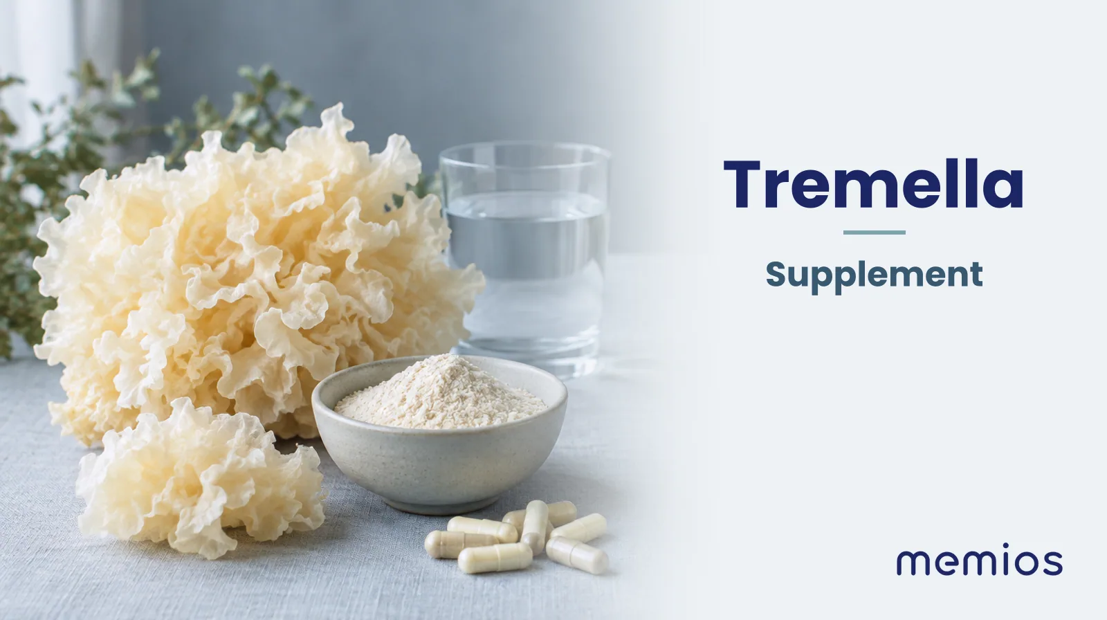 Photograph for Tremella: its natural source and a bowl of powder or capsules on pale linen.