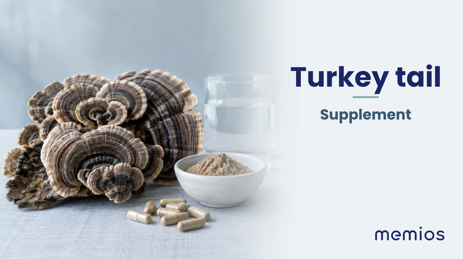 Photograph for Turkey tail: its natural source and a bowl of powder or capsules on pale linen.
