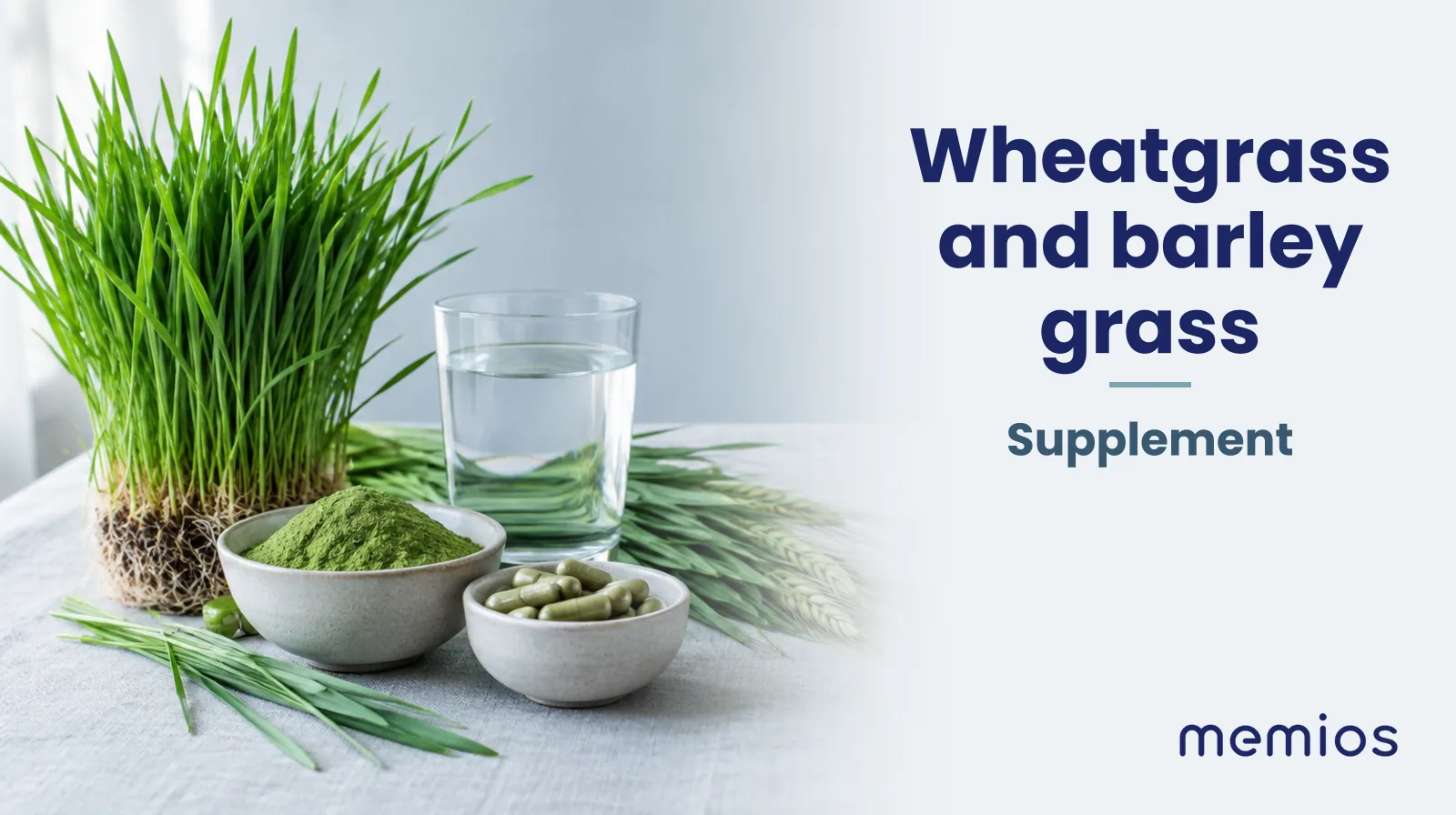 Photograph for Wheatgrass and barley grass: its natural source and a bowl of powder or capsules on pale linen.